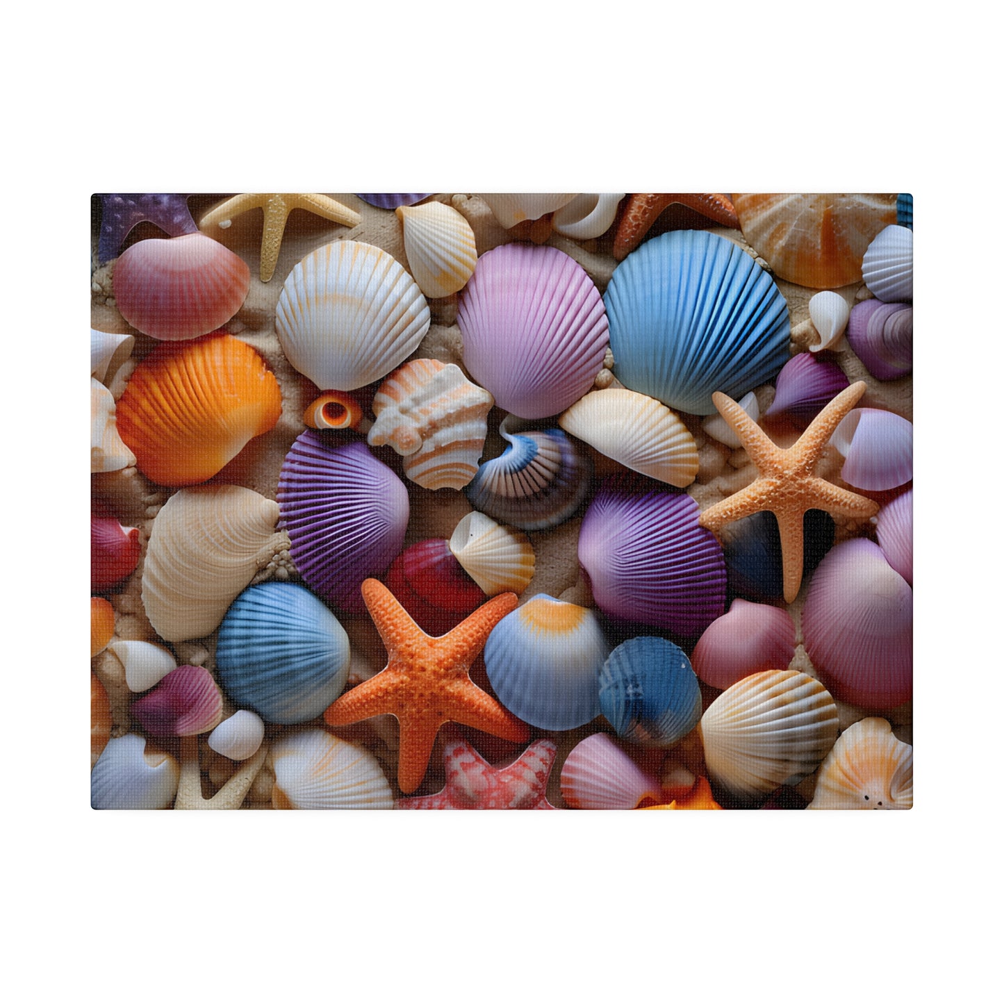 Starfish and Seashells Matte Canvas, Stretched, 0.75" pn003