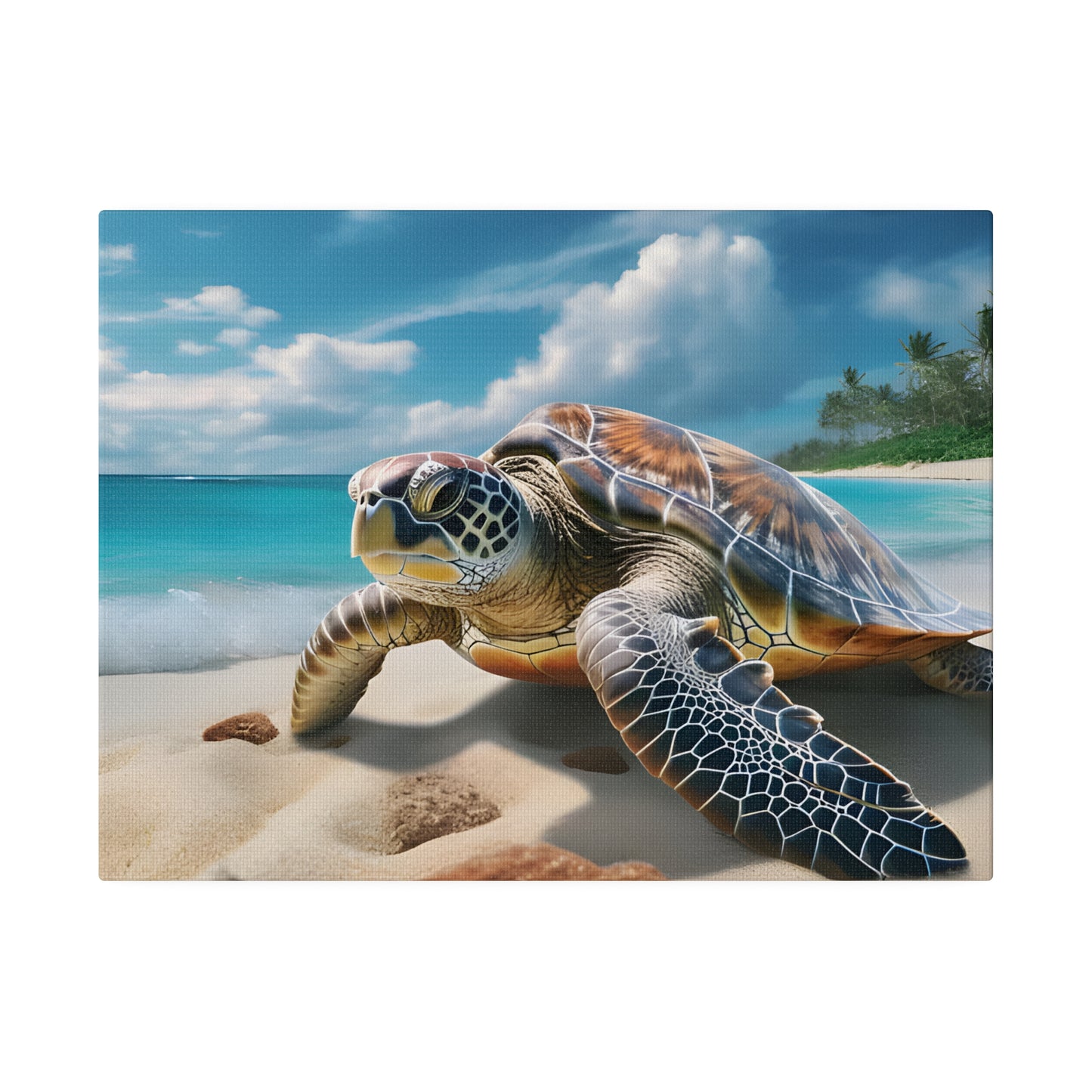 Sea Turtle Matte Canvas, Stretched, 0.75" pn019