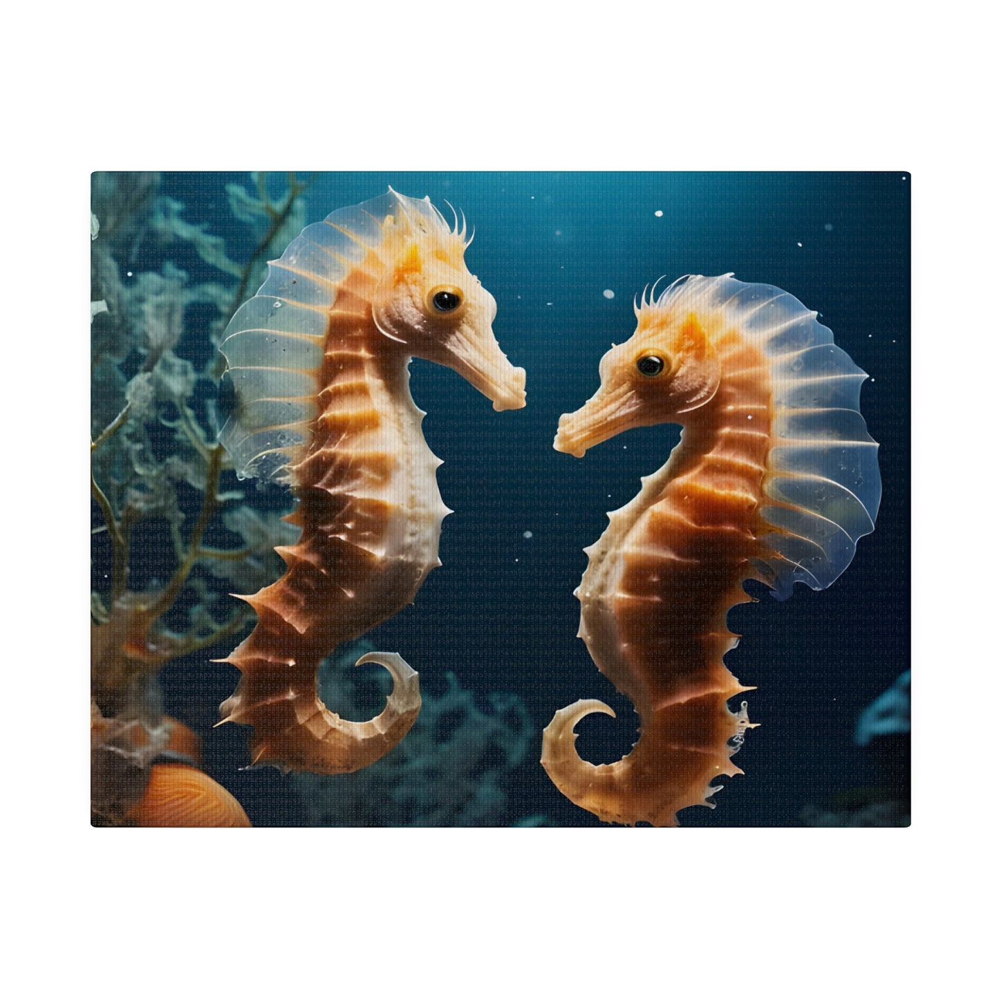 Seahorse Matte Canvas, Stretched, 0.75" pn008