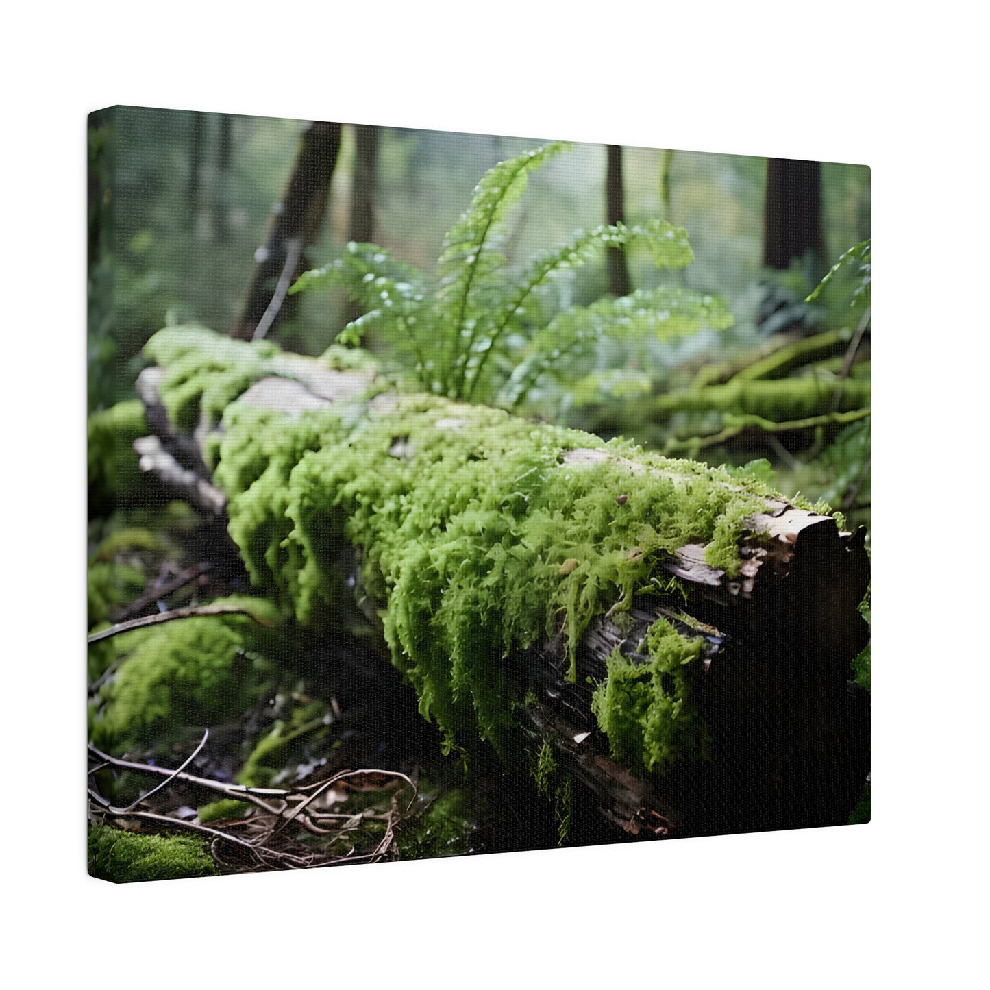 Mossy Log Matte Canvas, Stretched, 0.75" pn016