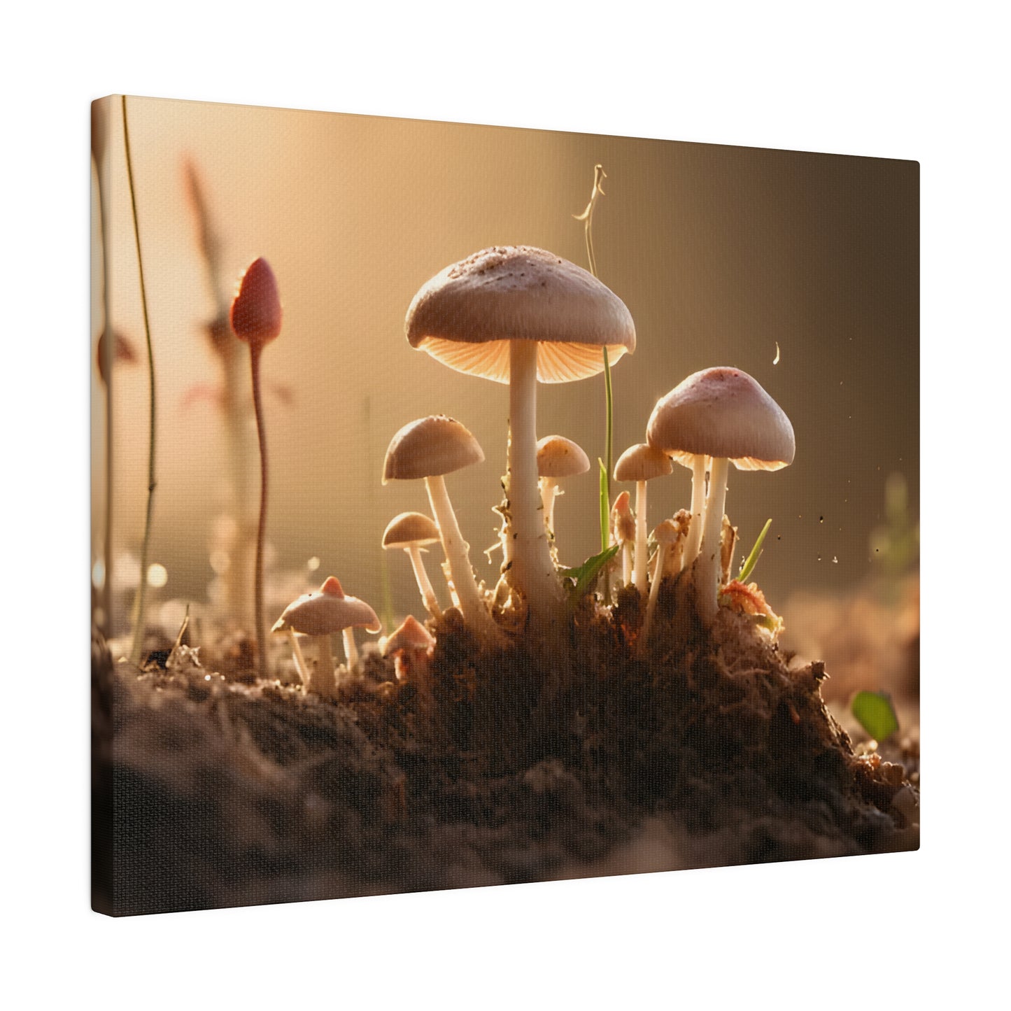 Tiny Mushrooms Matte Canvas, Stretched, 0.75" pn028