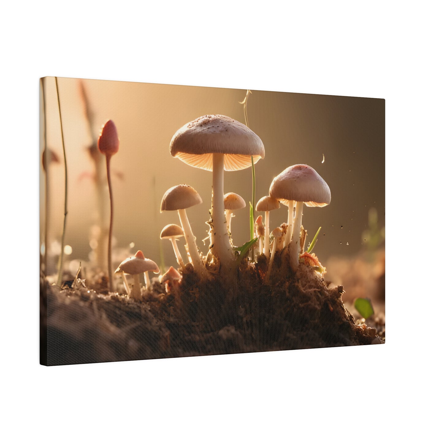 Tiny Mushrooms Matte Canvas, Stretched, 0.75" pn028