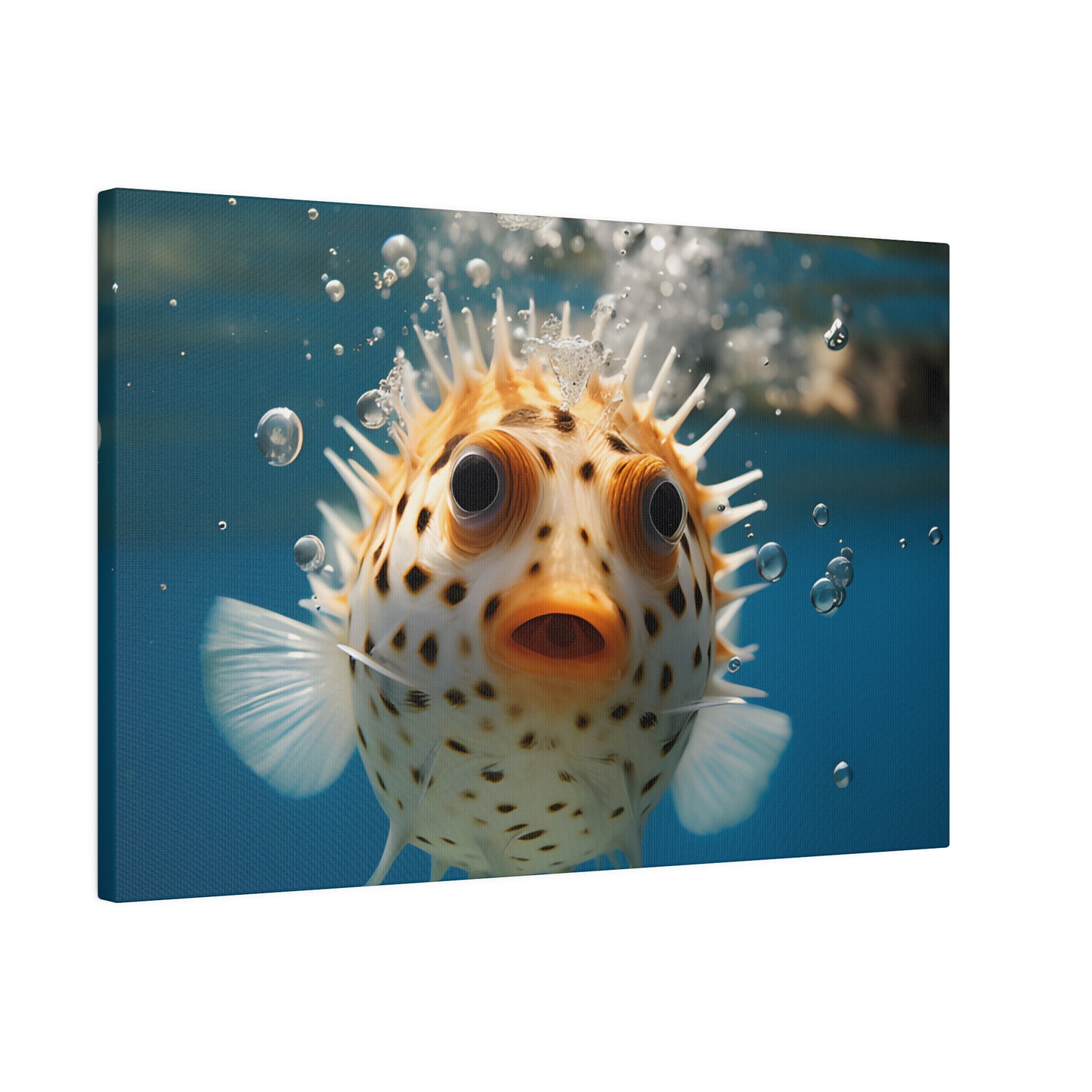 Pufferfish Matte Canvas, Stretched, 0.75" pn007