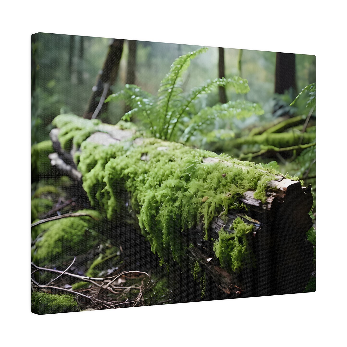 Mossy Log Matte Canvas, Stretched, 0.75" pn016