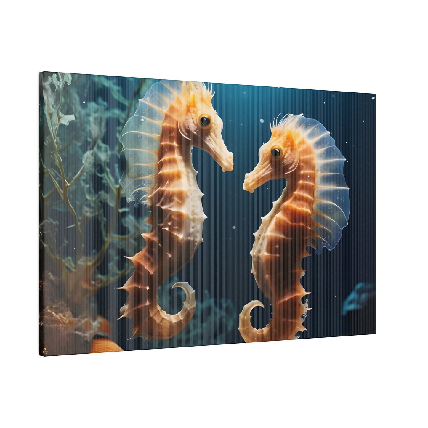 Seahorse Matte Canvas, Stretched, 0.75" pn008