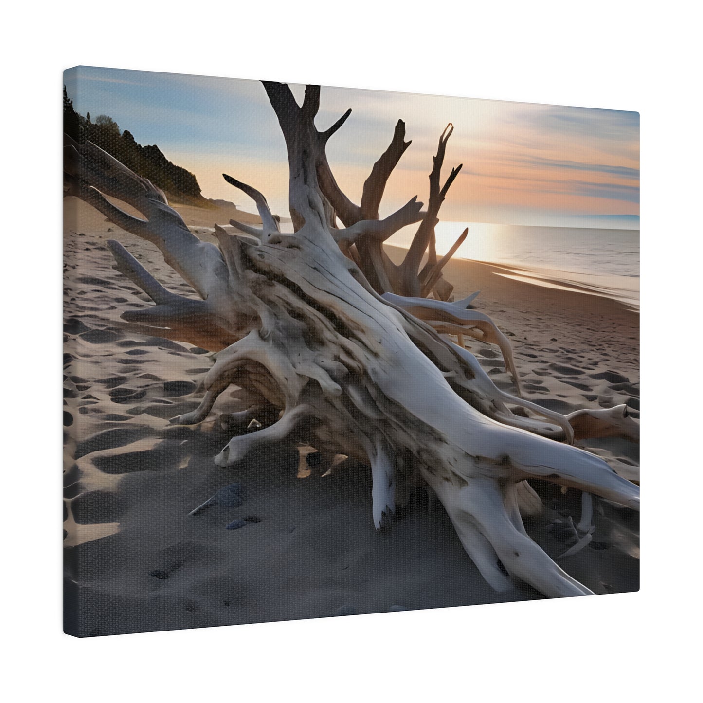 Drift Wood Matte Canvas, Stretched, 0.75" pn012