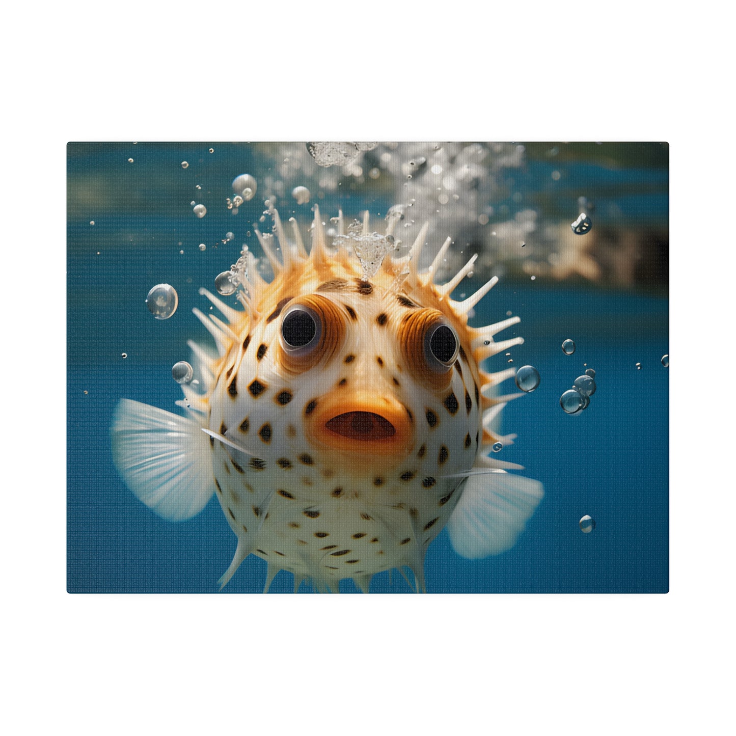 Pufferfish Matte Canvas, Stretched, 0.75" pn007