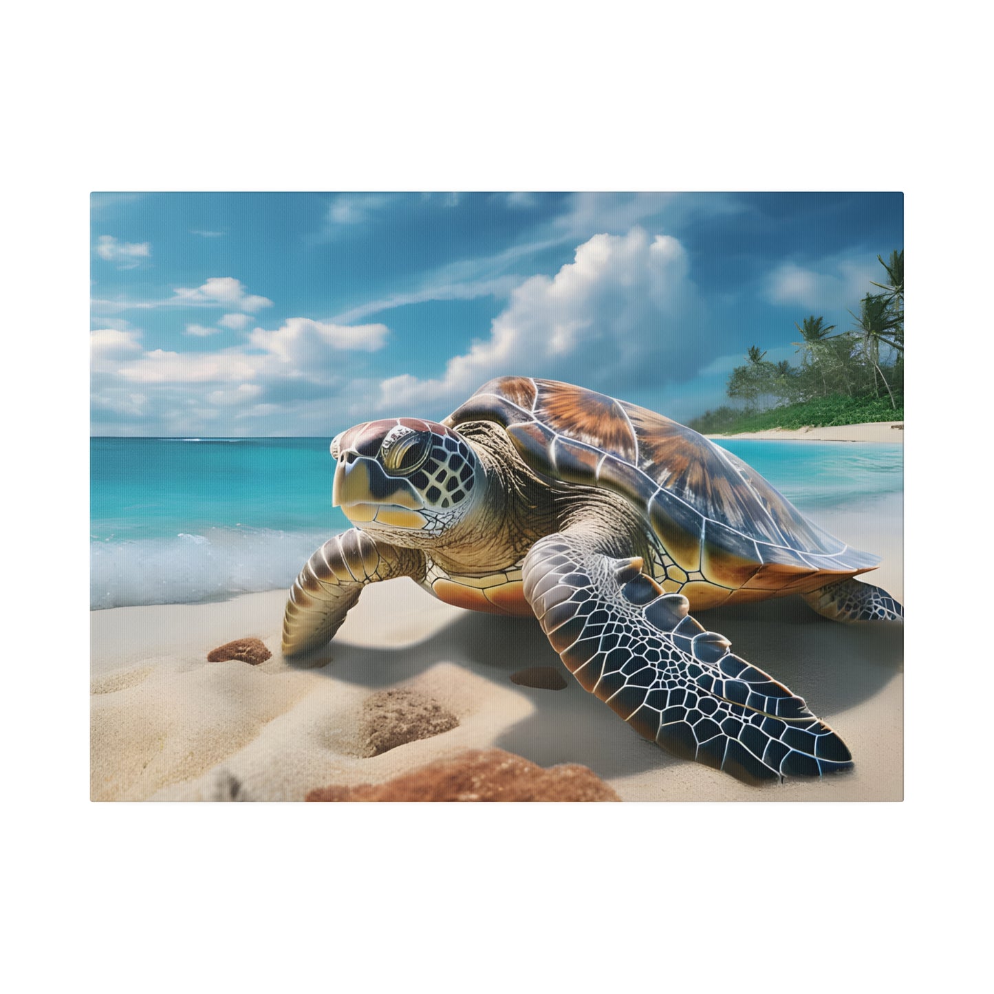 Sea Turtle Matte Canvas, Stretched, 0.75" pn019