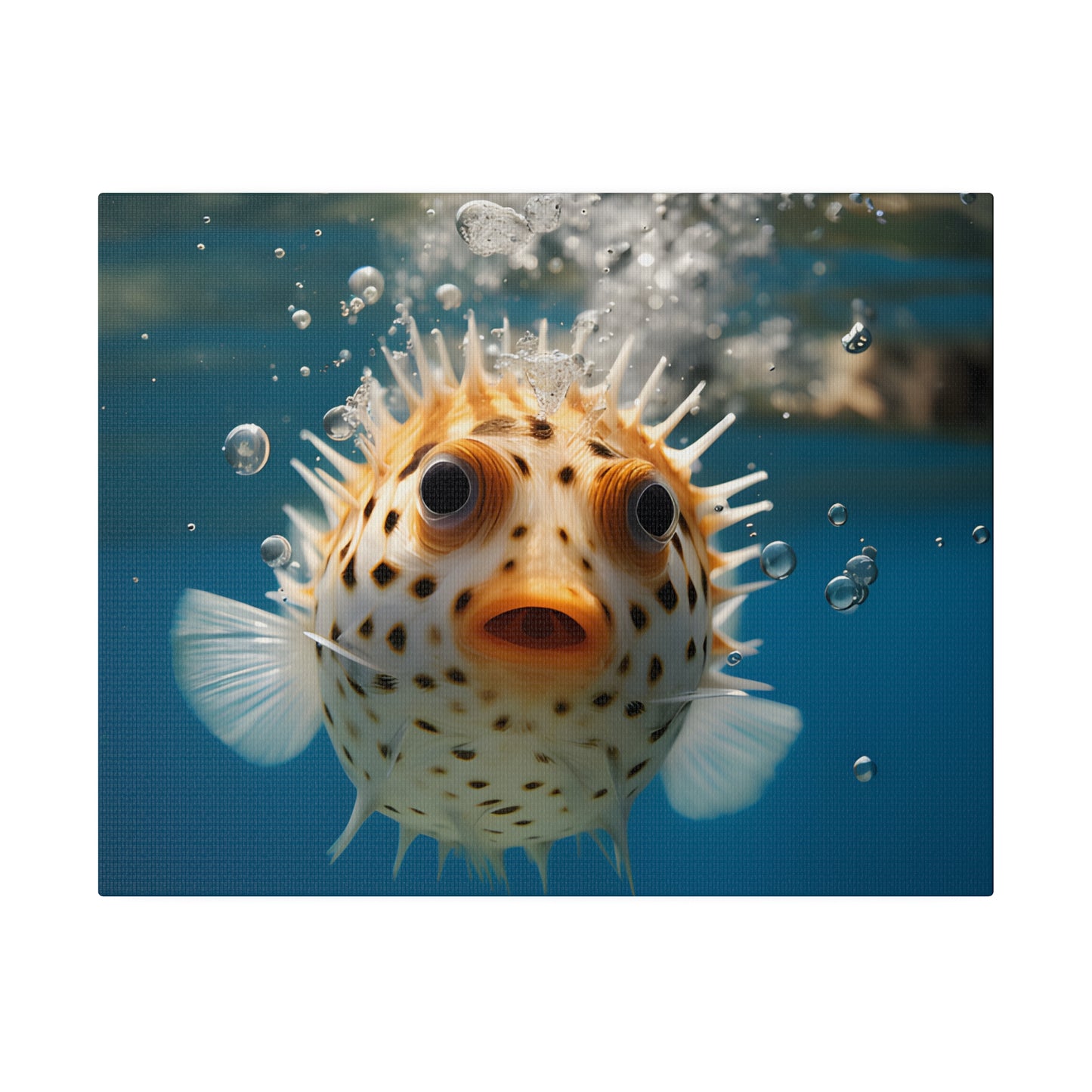 Pufferfish Matte Canvas, Stretched, 0.75" pn007