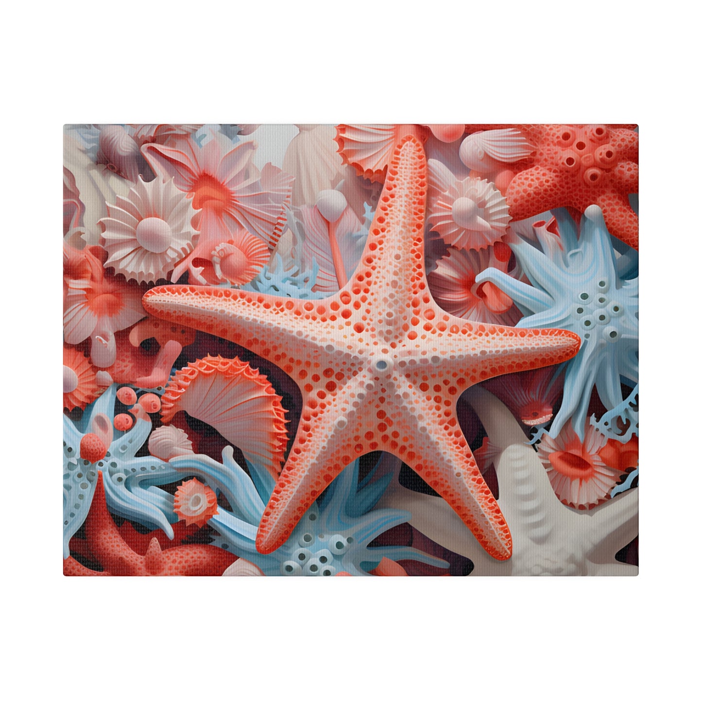 Starfish Matte Canvas, Stretched, 0.75" pn001