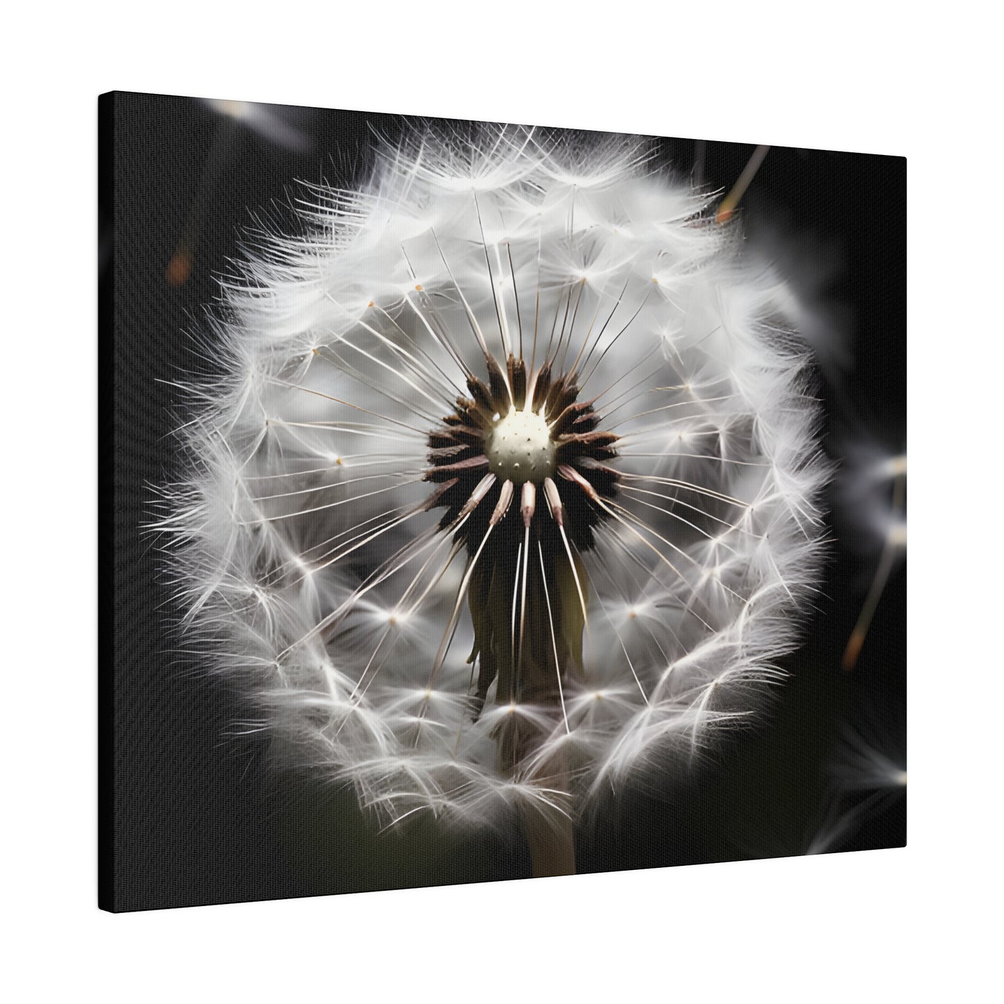 Dandelion Matte Canvas, Stretched, 0.75" pn022