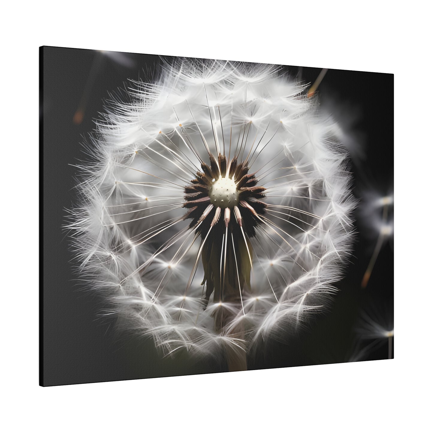 Dandelion Matte Canvas, Stretched, 0.75" pn022