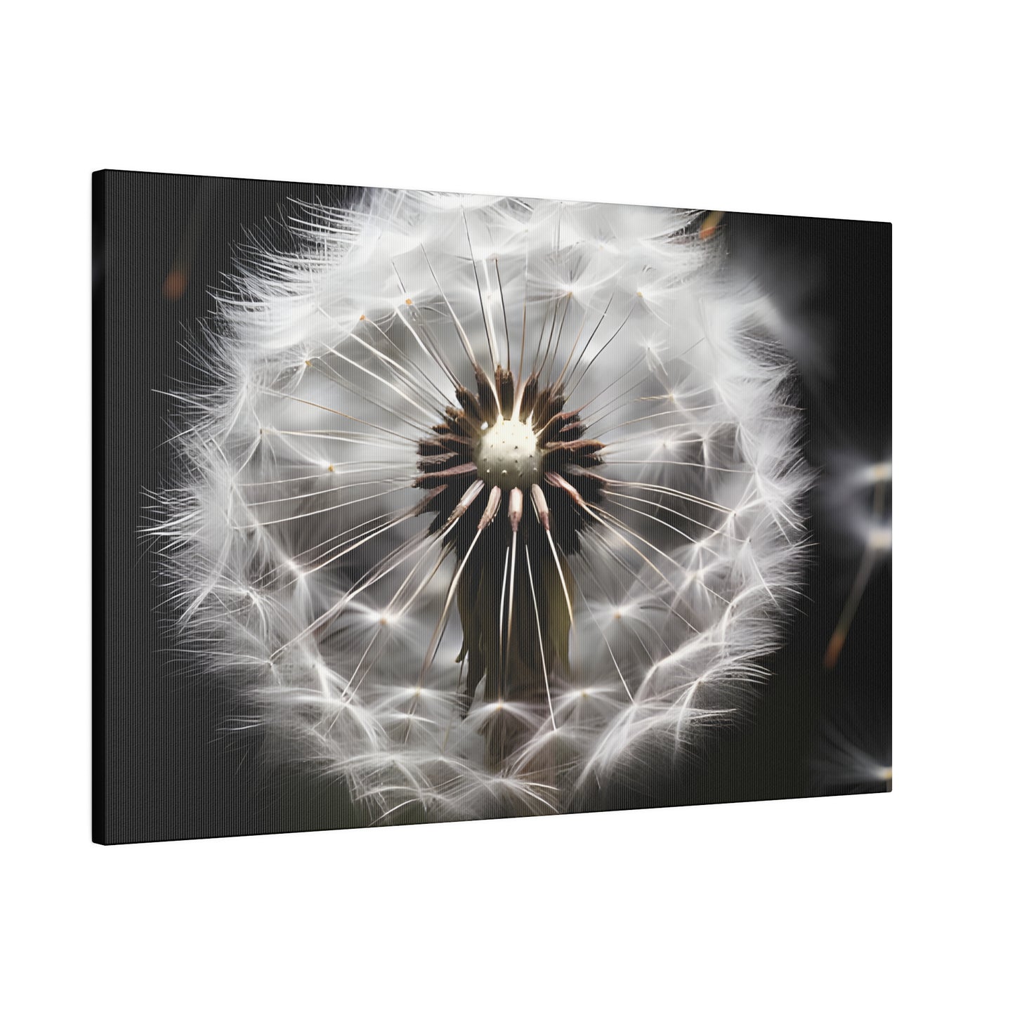 Dandelion Matte Canvas, Stretched, 0.75" pn022