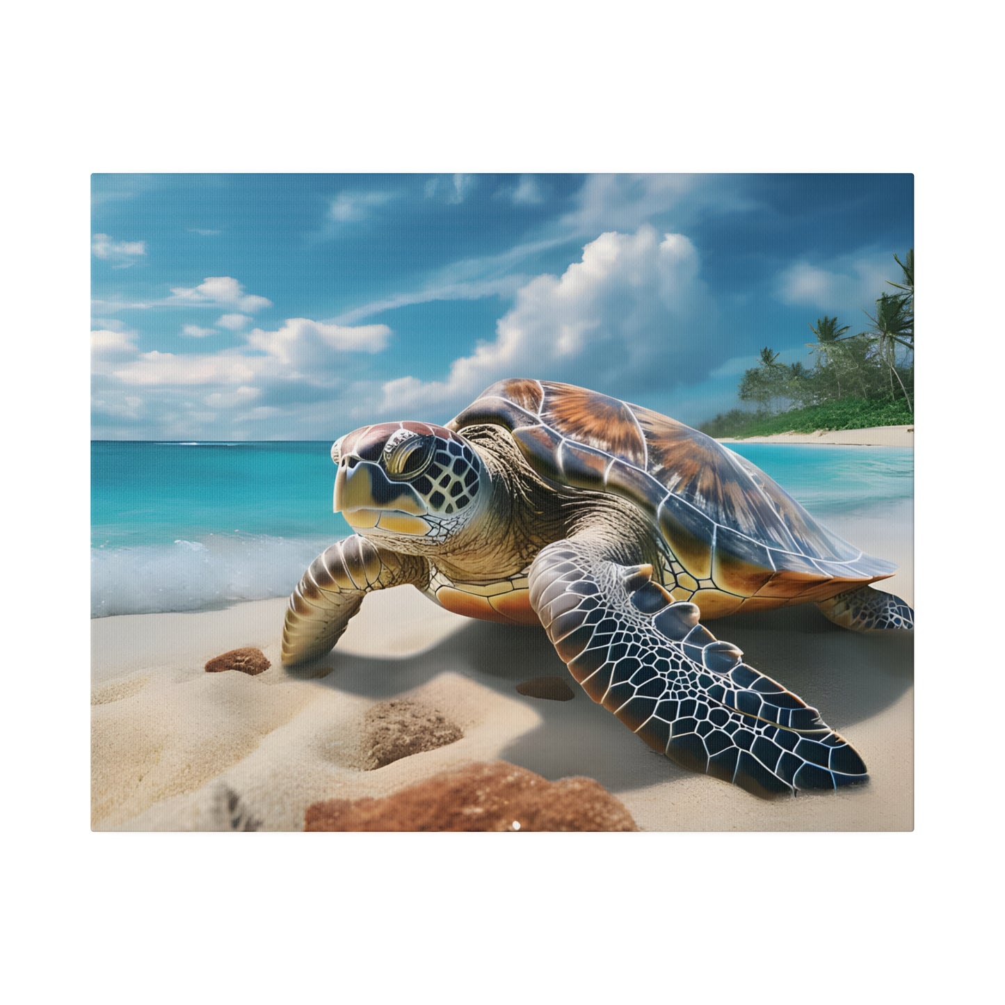 Sea Turtle Matte Canvas, Stretched, 0.75" pn019