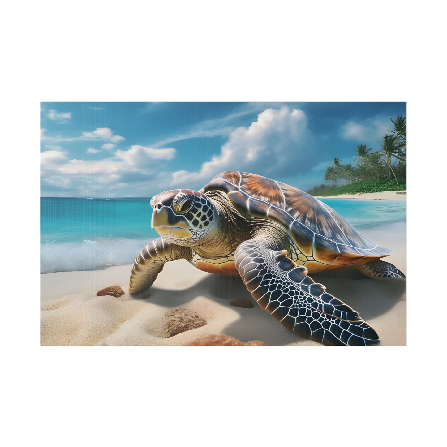 Sea Turtle Matte Canvas, Stretched, 0.75" pn019