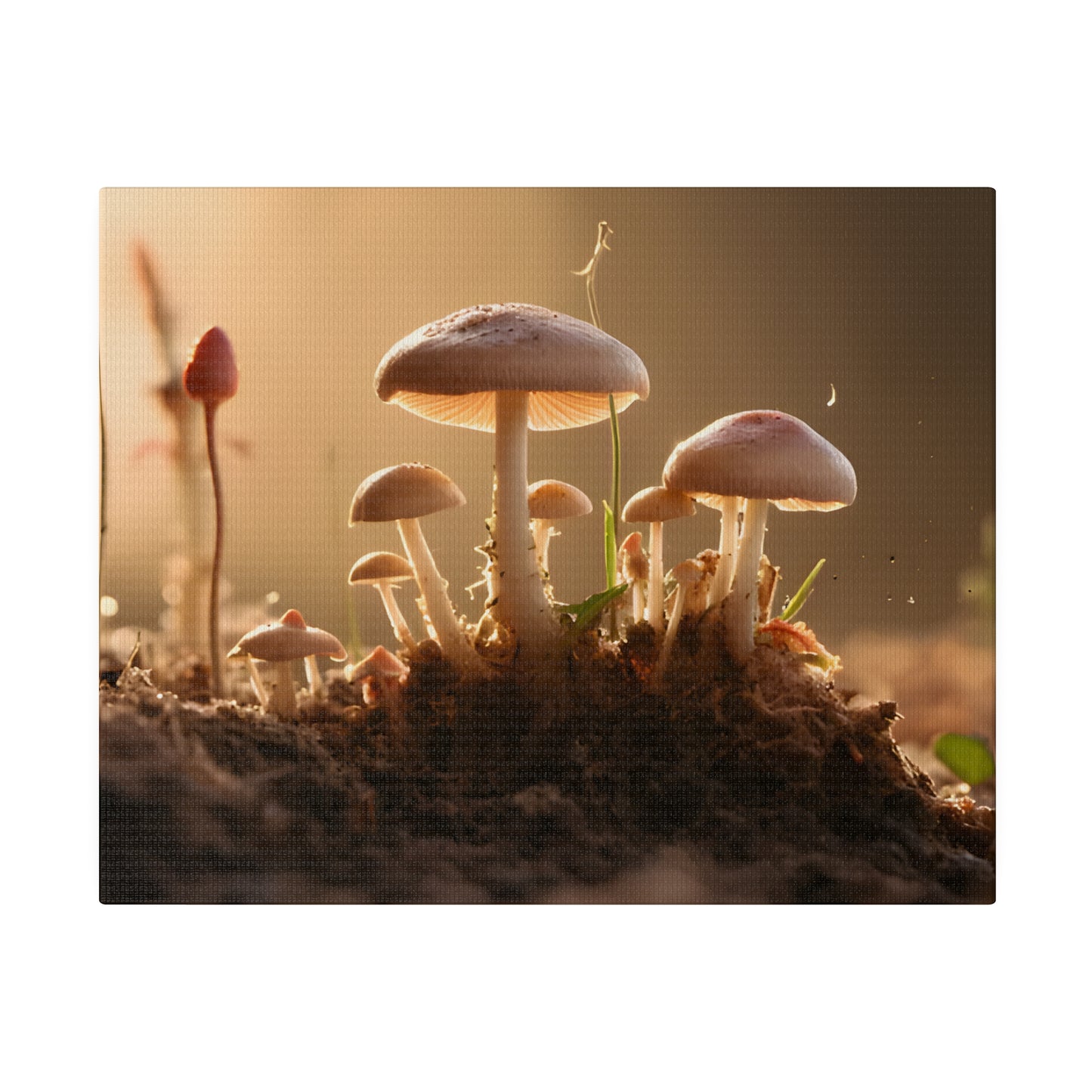 Tiny Mushrooms Matte Canvas, Stretched, 0.75" pn028