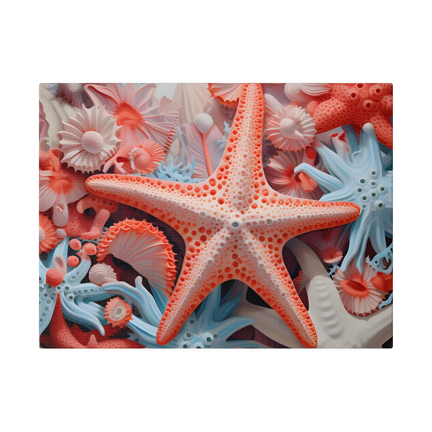 Starfish Matte Canvas, Stretched, 0.75" pn001