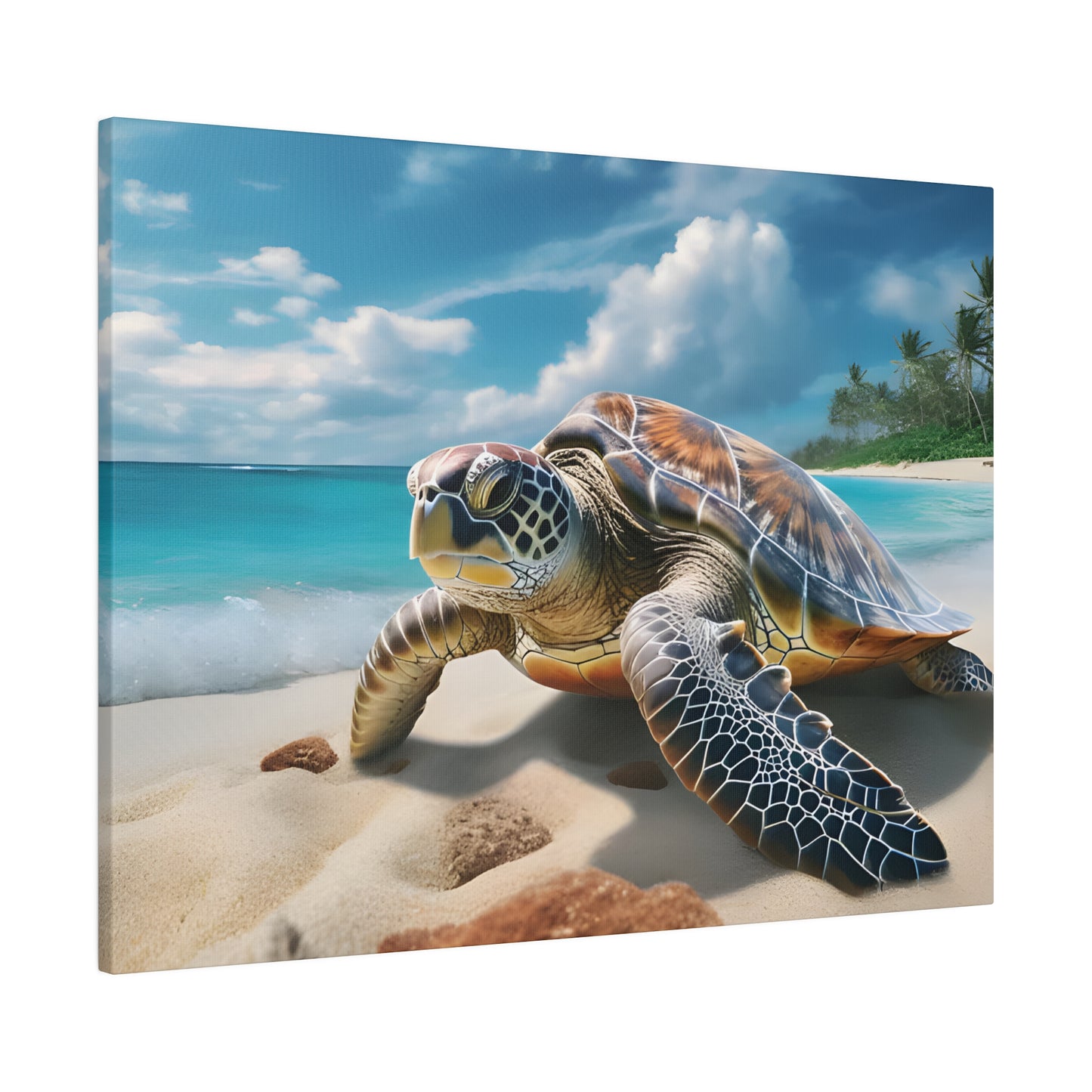 Sea Turtle Matte Canvas, Stretched, 0.75" pn019