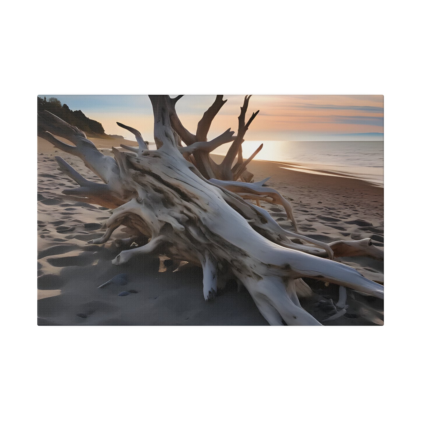 Drift Wood Matte Canvas, Stretched, 0.75" pn012