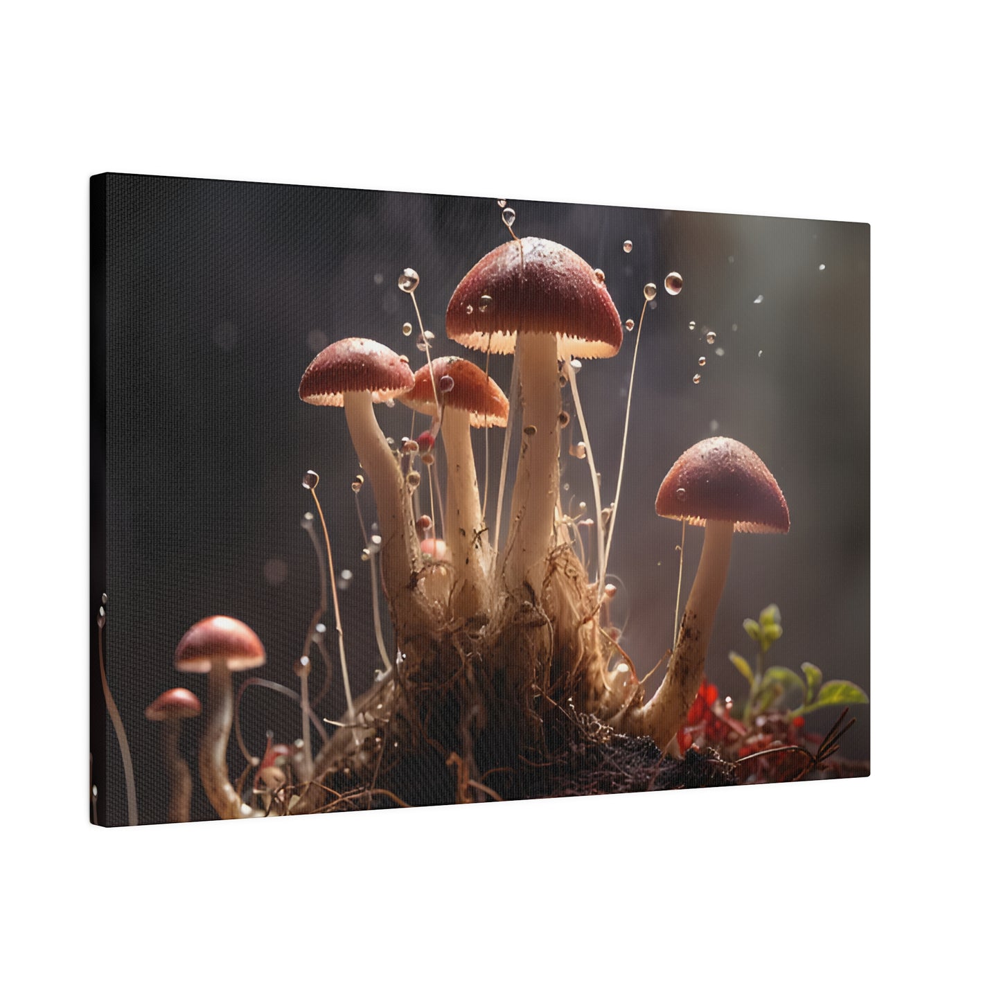 Tiny Mushrooms Matte Canvas, Stretched, 0.75" pn026