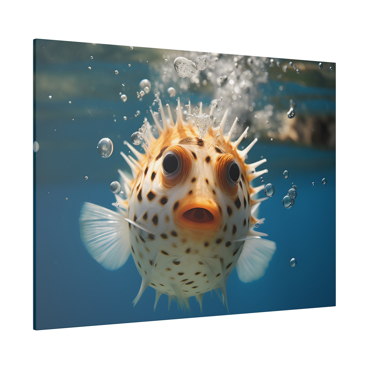 Pufferfish Matte Canvas, Stretched, 0.75" pn007