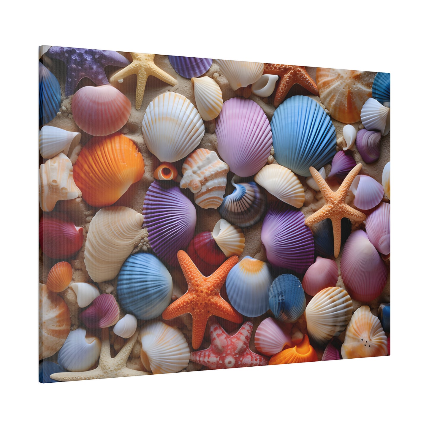 Starfish and Seashells Matte Canvas, Stretched, 0.75" pn003