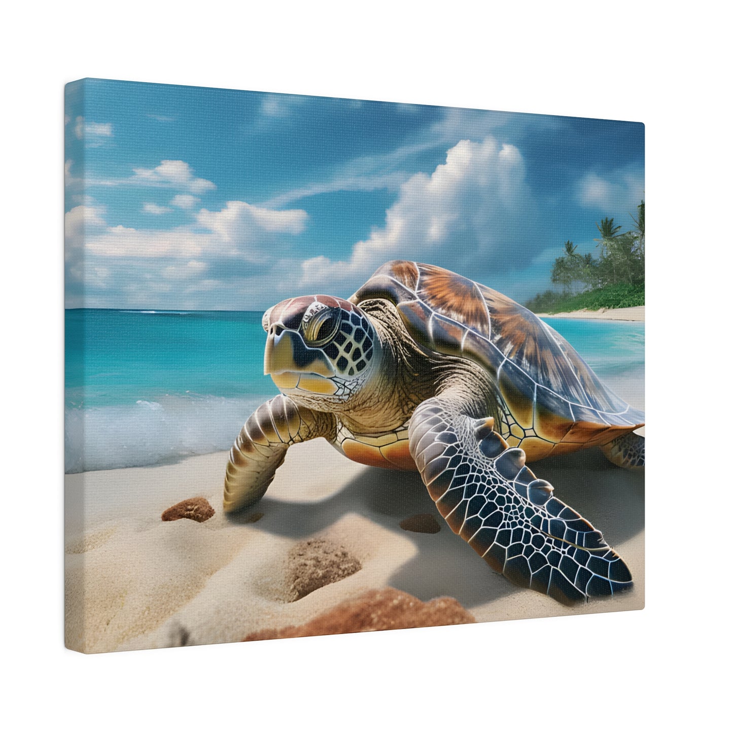 Sea Turtle Matte Canvas, Stretched, 0.75" pn019