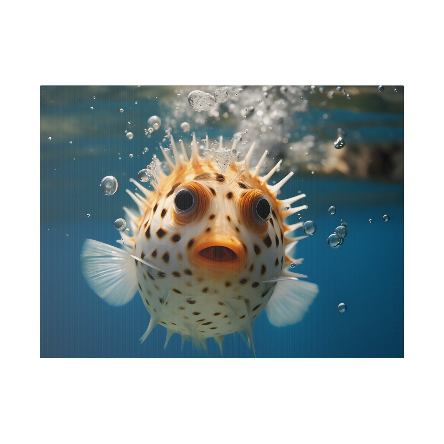 Pufferfish Matte Canvas, Stretched, 0.75" pn007