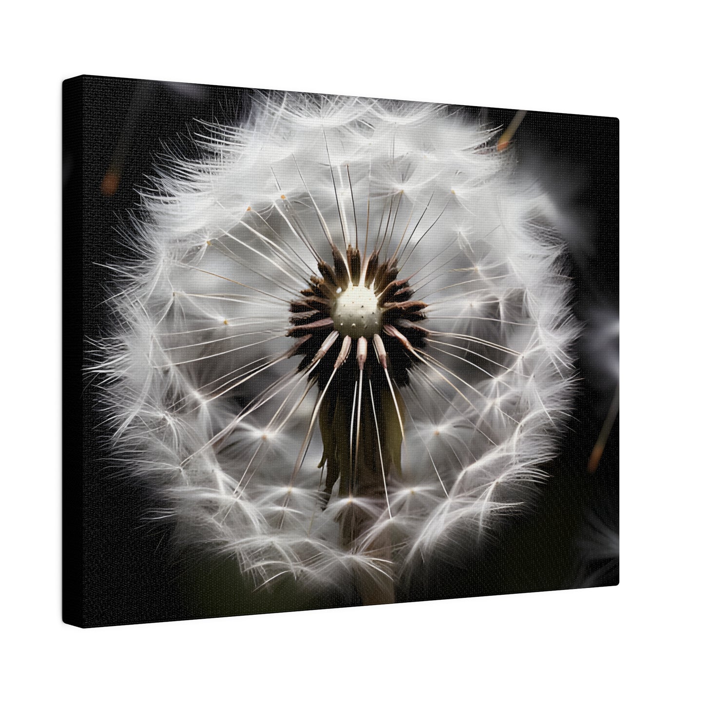 Dandelion Matte Canvas, Stretched, 0.75" pn022