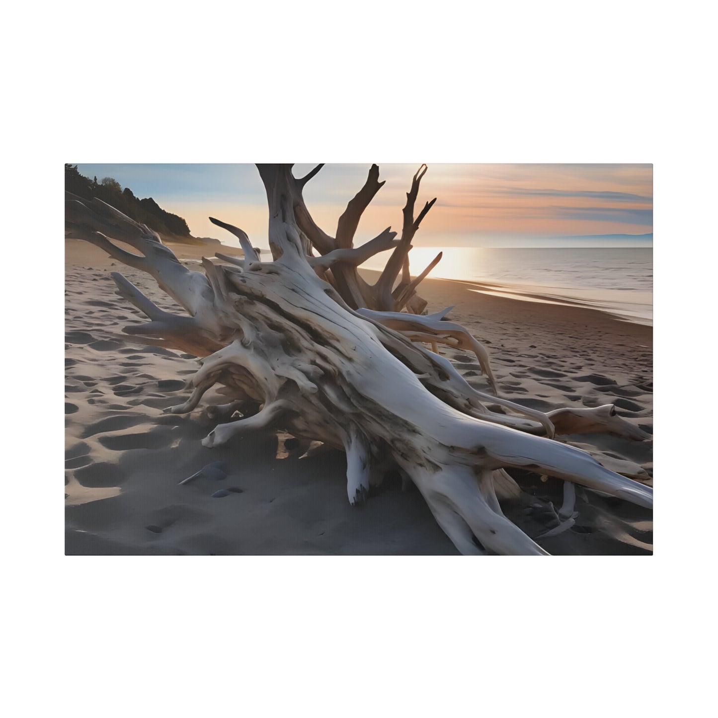 Drift Wood Matte Canvas, Stretched, 0.75" pn012