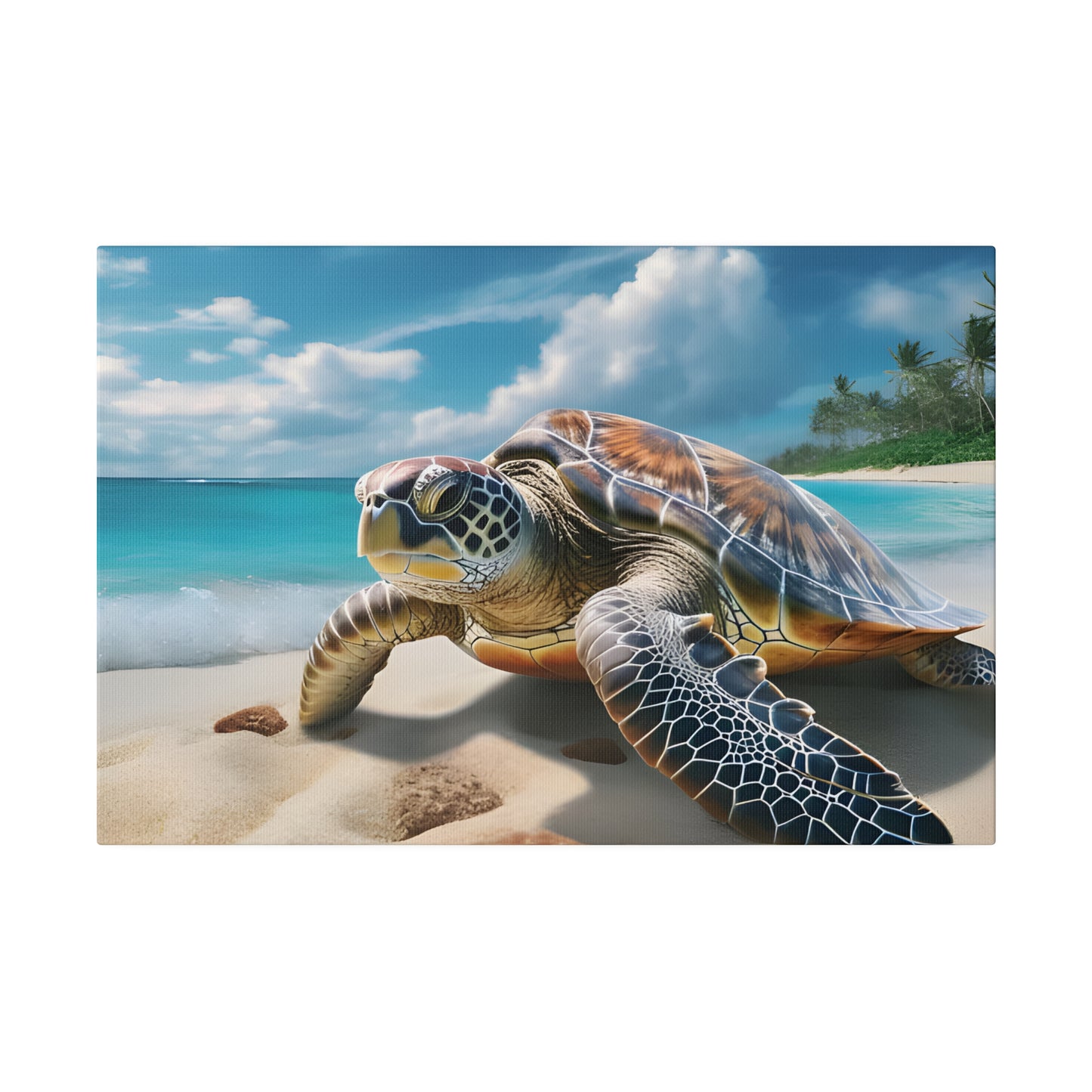 Sea Turtle Matte Canvas, Stretched, 0.75" pn019