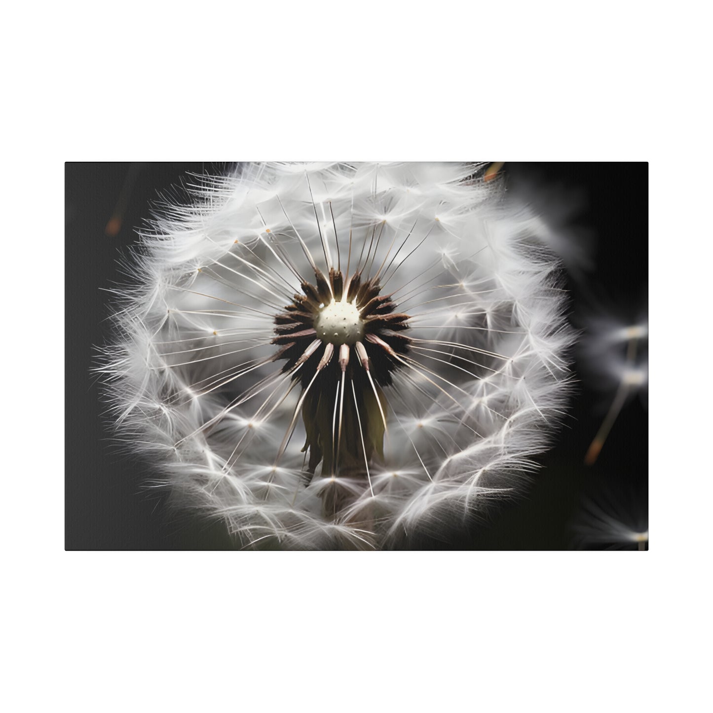 Dandelion Matte Canvas, Stretched, 0.75" pn022