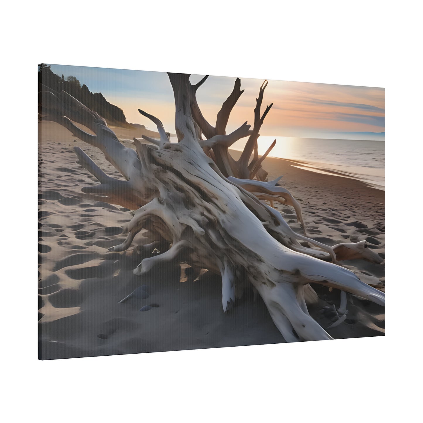 Drift Wood Matte Canvas, Stretched, 0.75" pn012