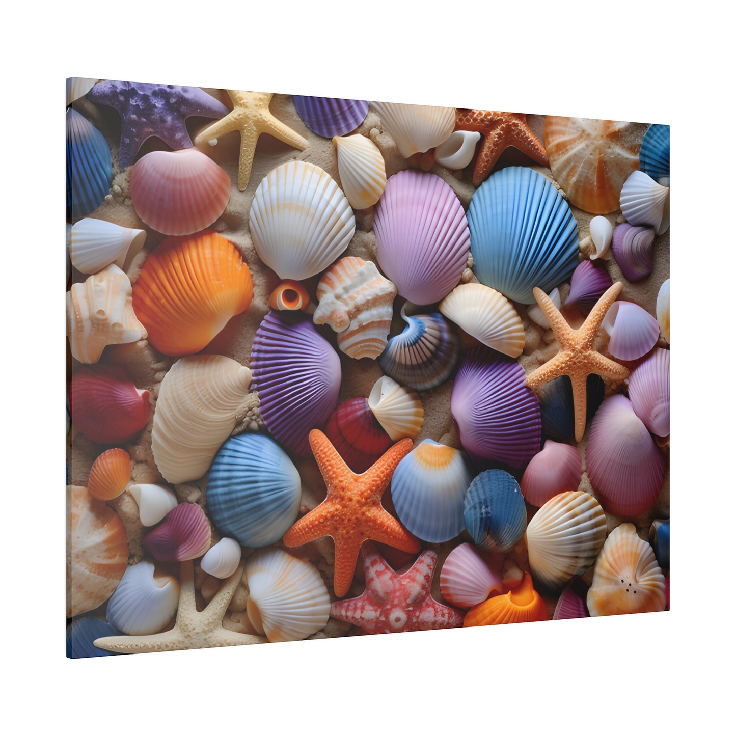 Starfish and Seashells Matte Canvas, Stretched, 0.75" pn003