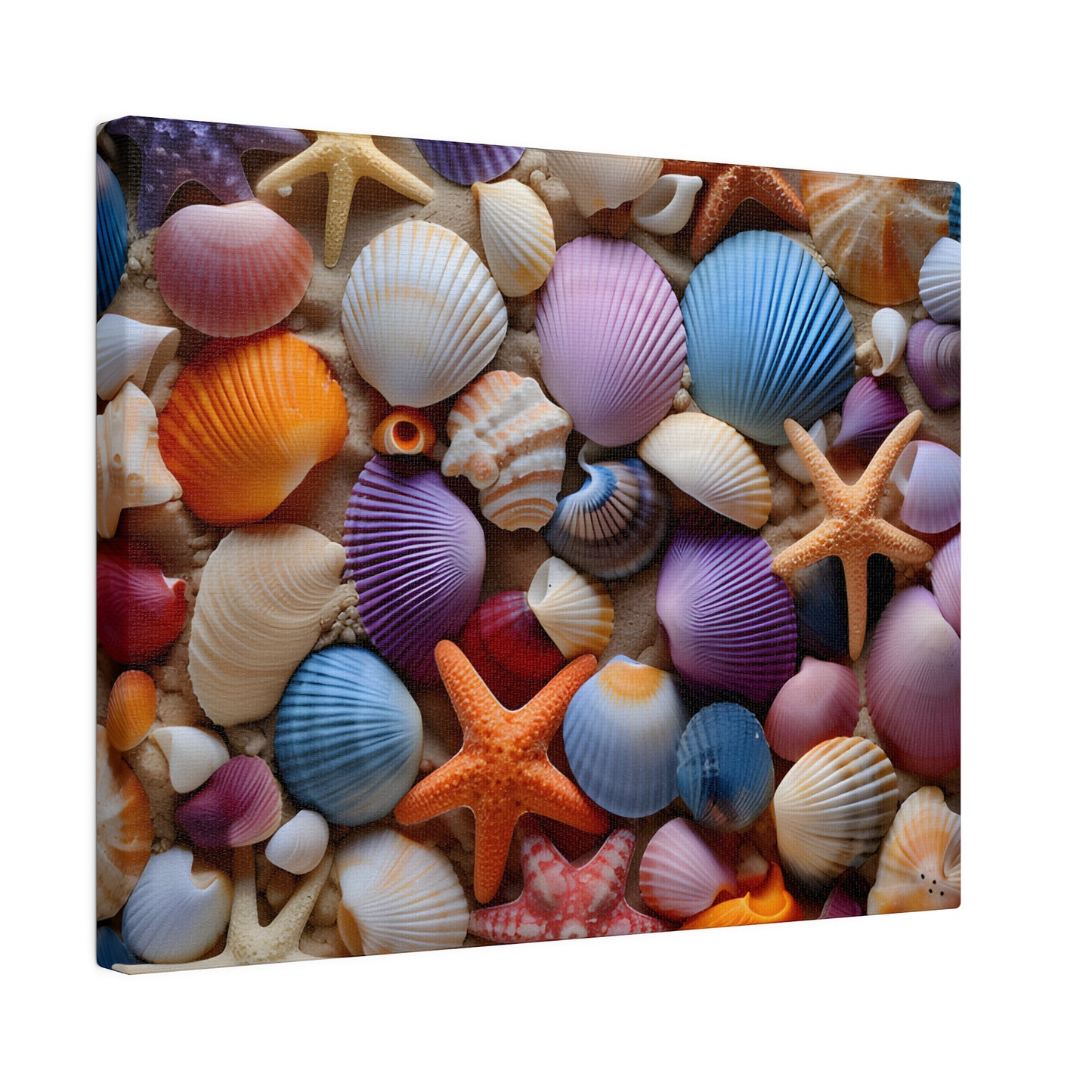 Starfish and Seashells Matte Canvas, Stretched, 0.75" pn003