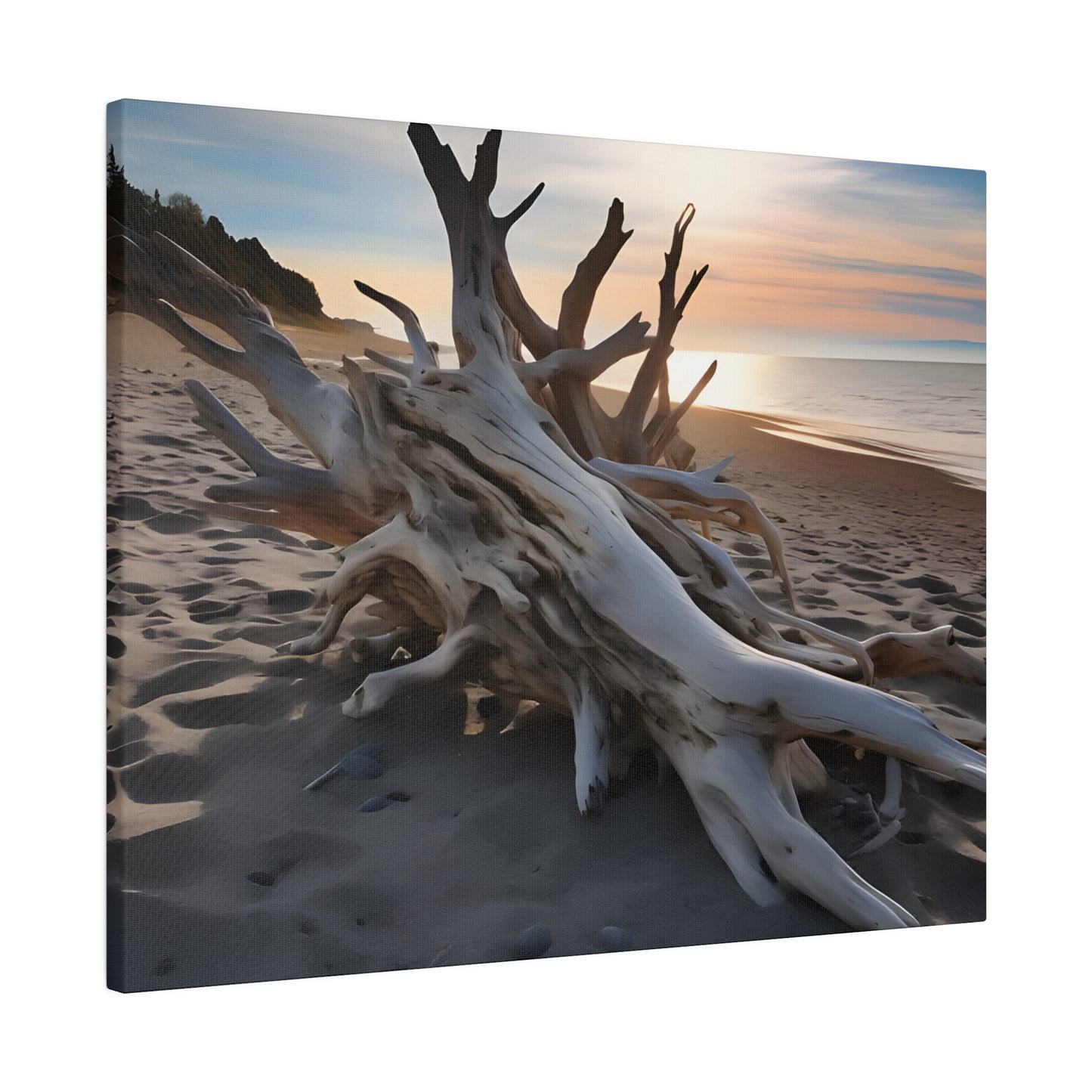 Drift Wood Matte Canvas, Stretched, 0.75" pn012