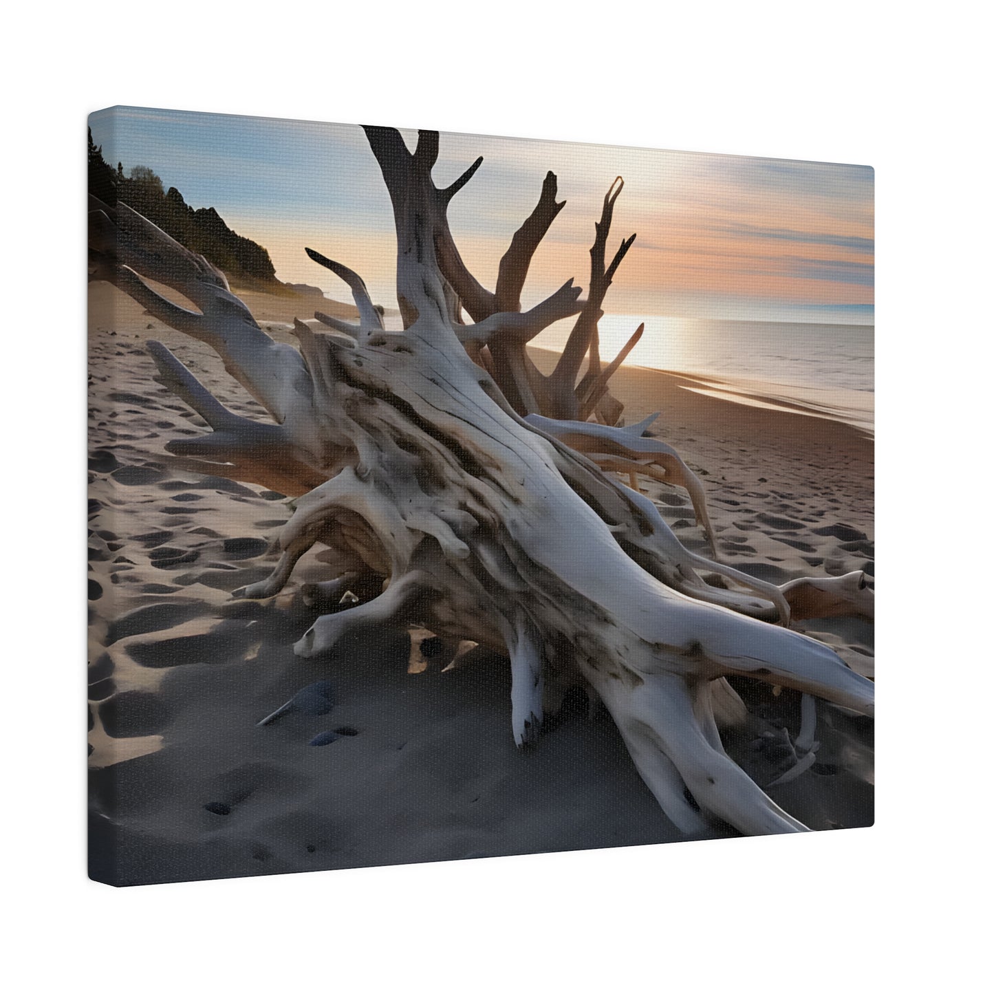 Drift Wood Matte Canvas, Stretched, 0.75" pn012