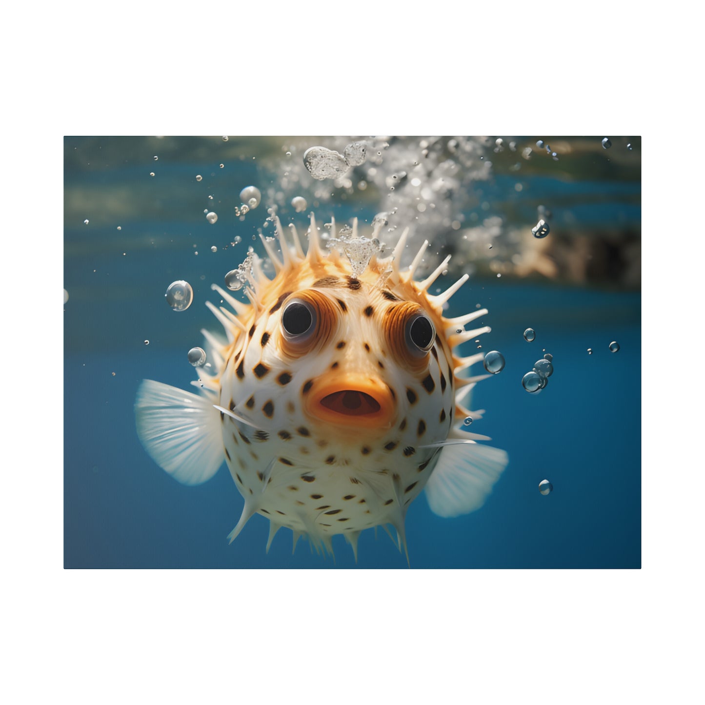 Pufferfish Matte Canvas, Stretched, 0.75" pn007