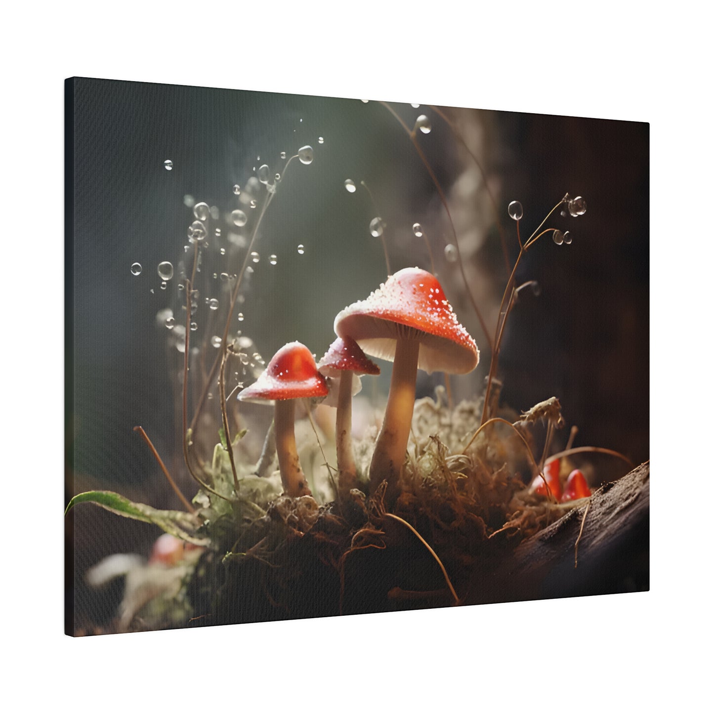 Tiny Mushrooms Matte Canvas, Stretched, 0.75" pn027