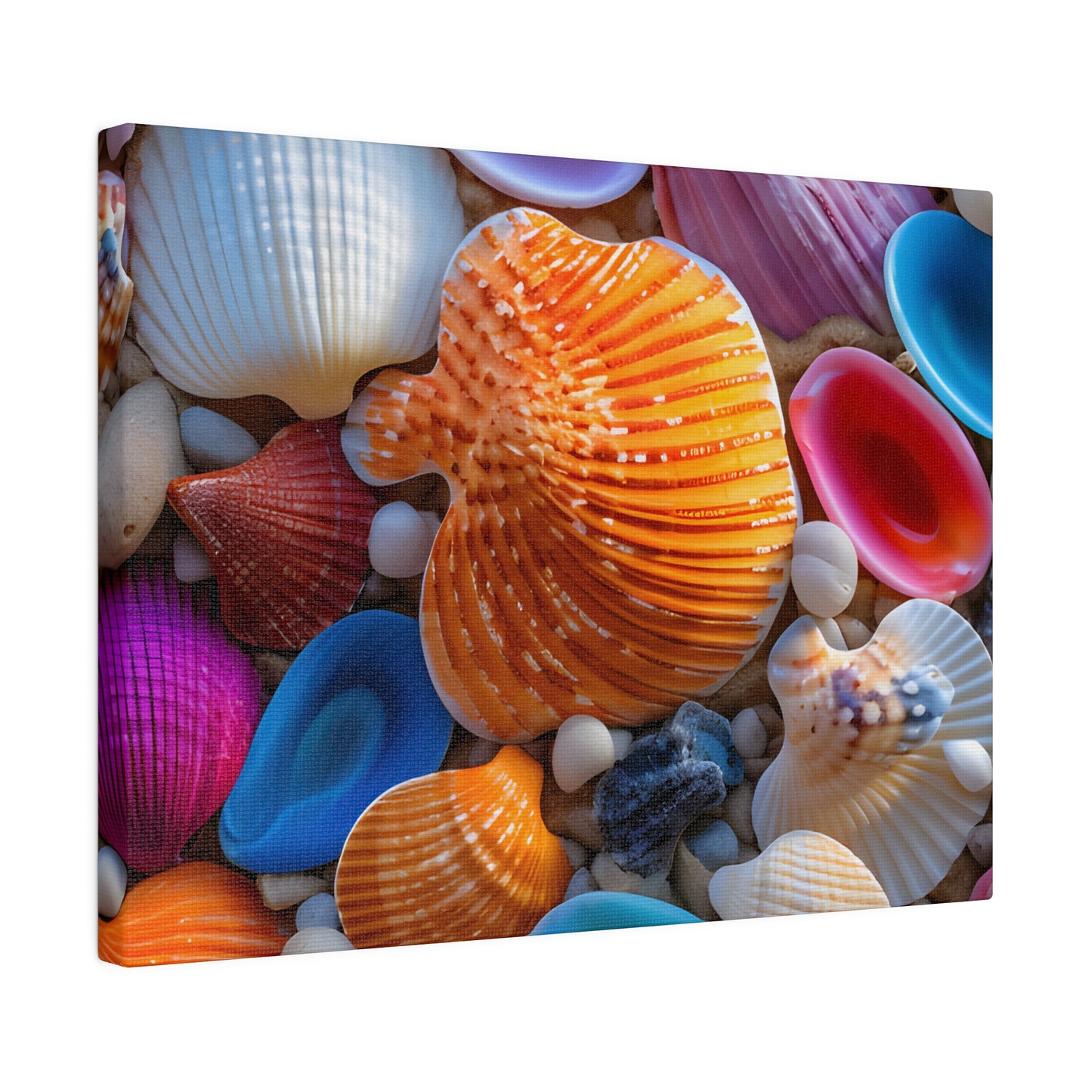 Colorful Seashells Matte Canvas, Stretched, 0.75" pn002