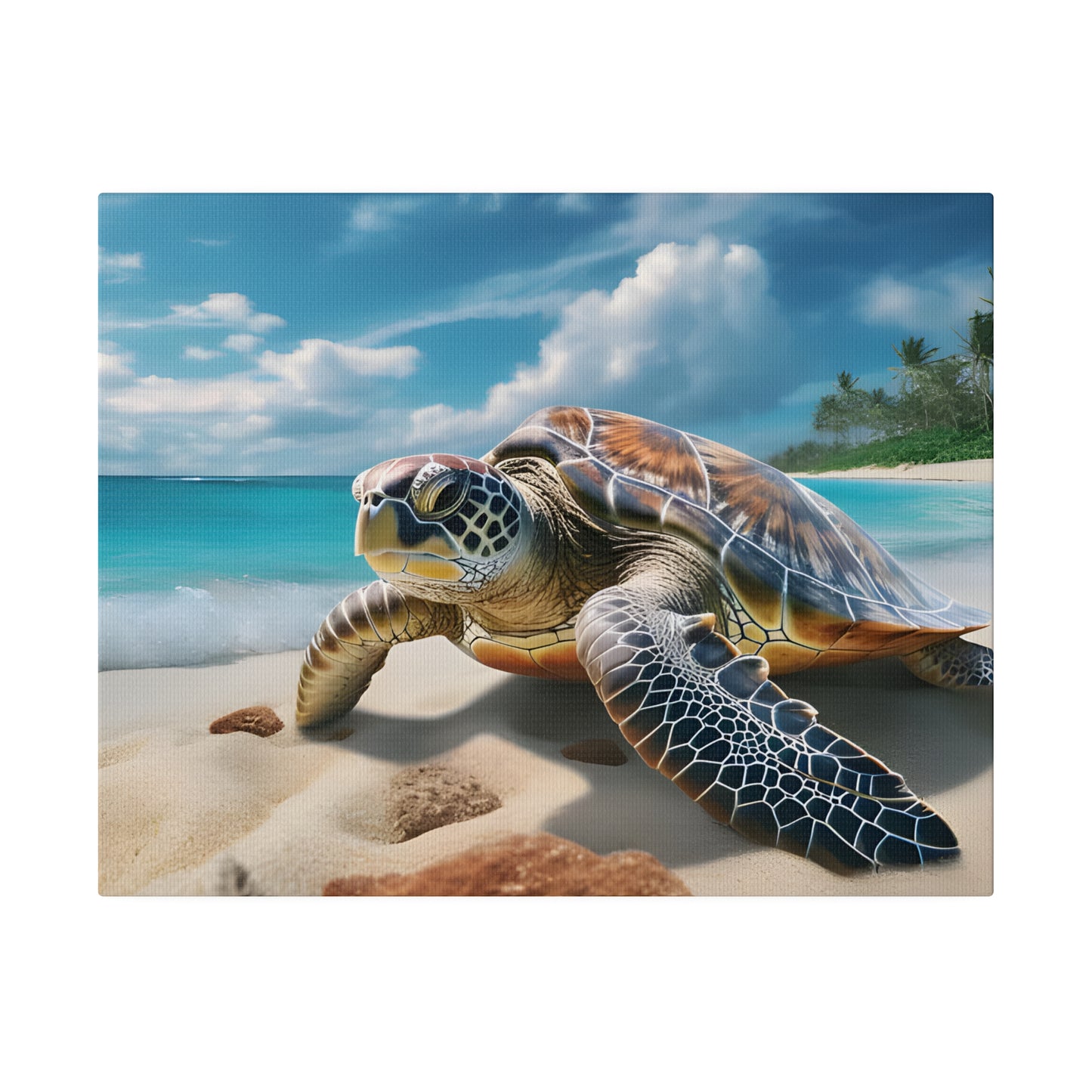 Sea Turtle Matte Canvas, Stretched, 0.75" pn019