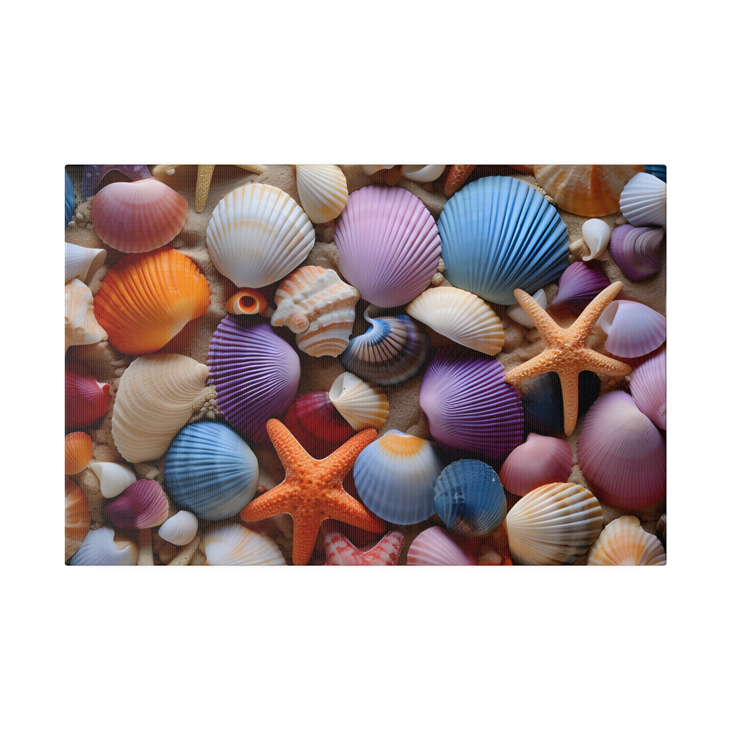 Starfish and Seashells Matte Canvas, Stretched, 0.75" pn003