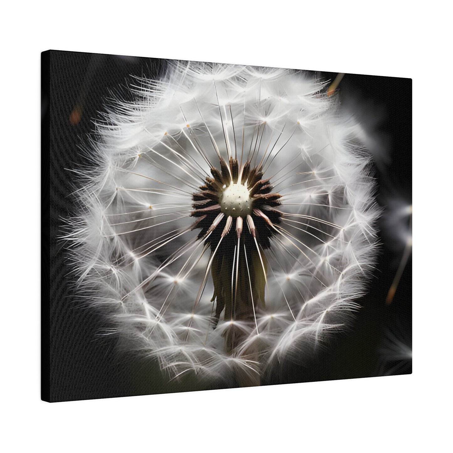 Dandelion Matte Canvas, Stretched, 0.75" pn022