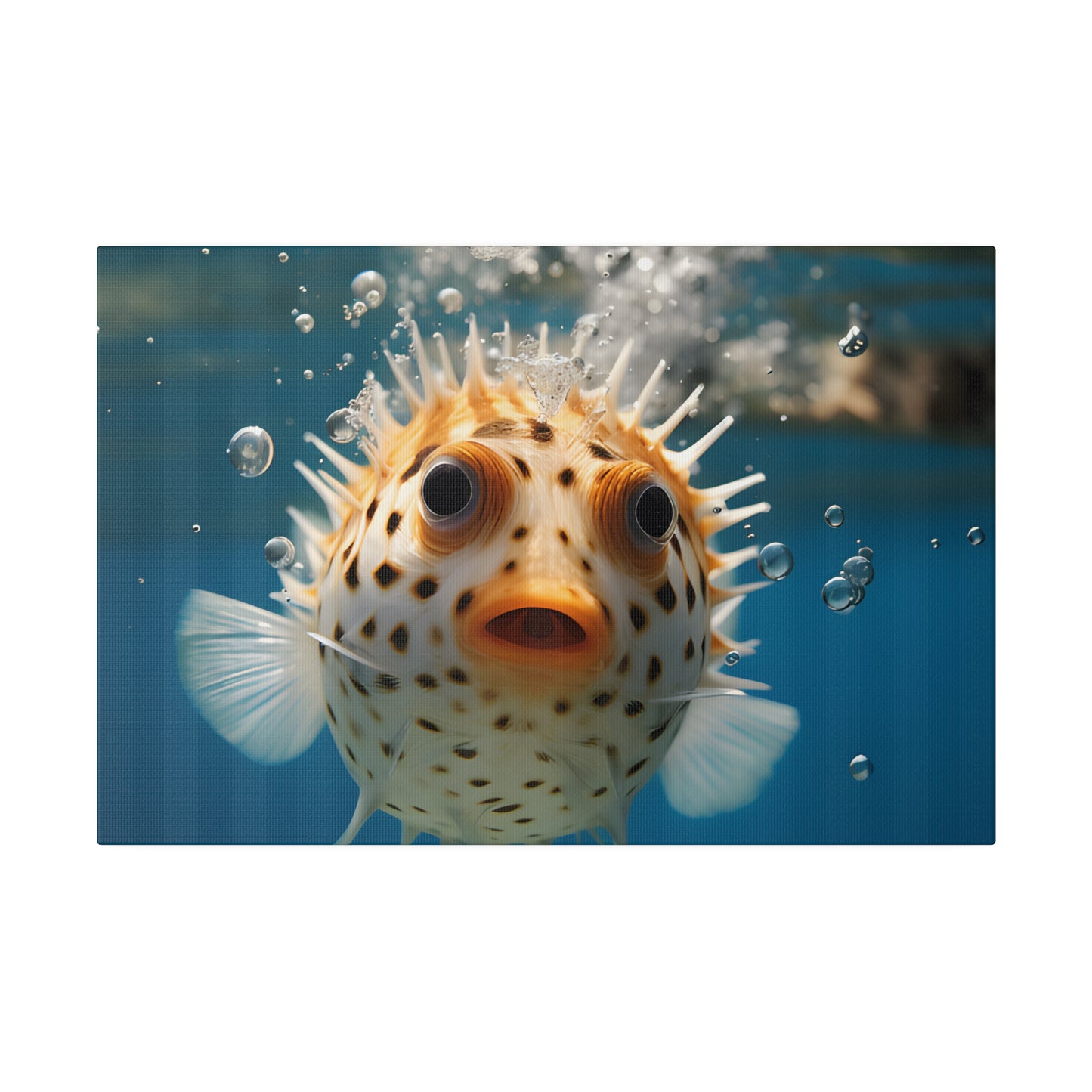 Pufferfish Matte Canvas, Stretched, 0.75" pn007