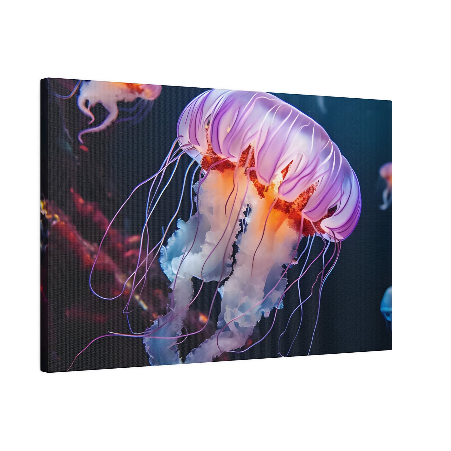 Jellyfish Matte Canvas, Stretched, 0.75" pn011