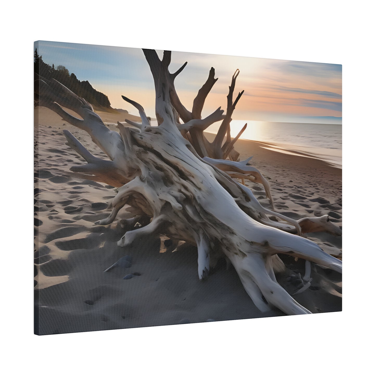 Drift Wood Matte Canvas, Stretched, 0.75" pn012