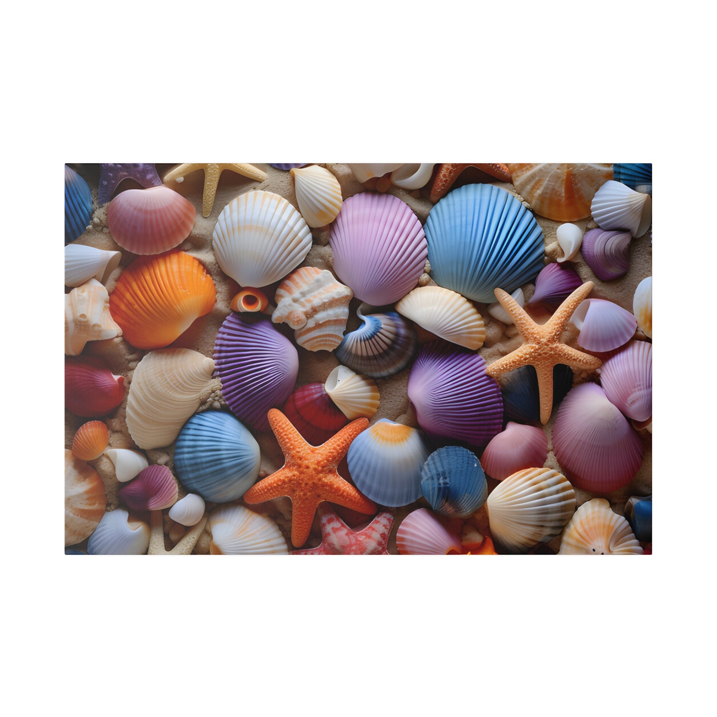 Starfish and Seashells Matte Canvas, Stretched, 0.75" pn003