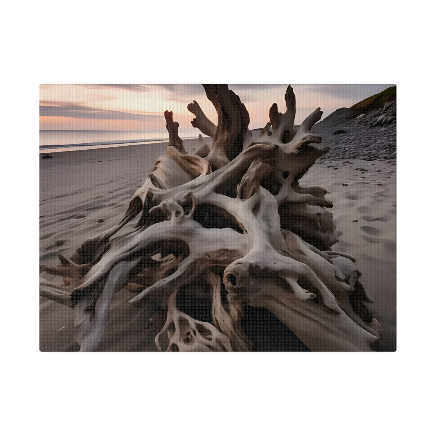 Drift Wood Matte Canvas, Stretched, 0.75" pn013