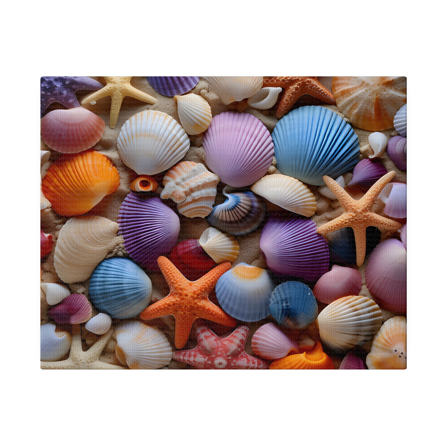 Starfish and Seashells Matte Canvas, Stretched, 0.75" pn003