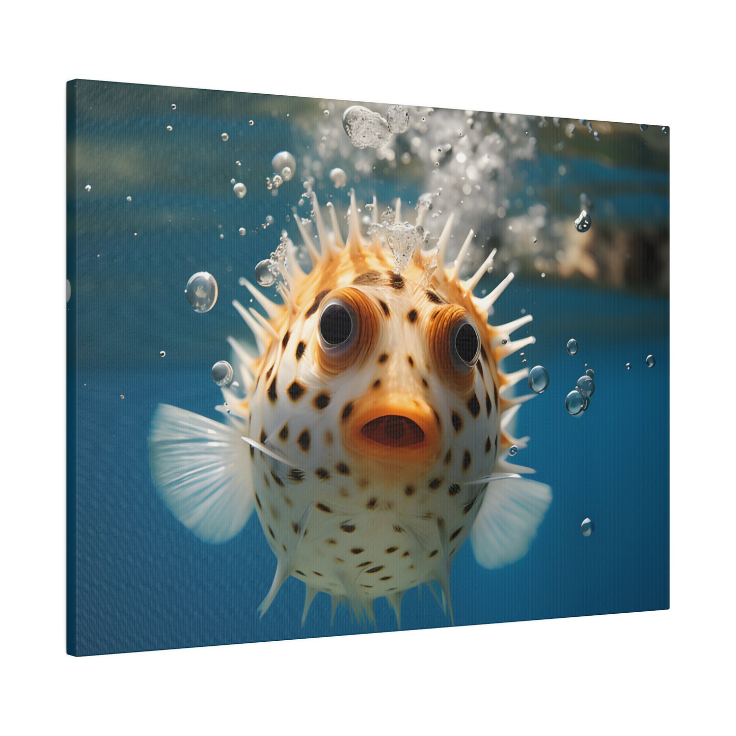 Pufferfish Matte Canvas, Stretched, 0.75" pn007